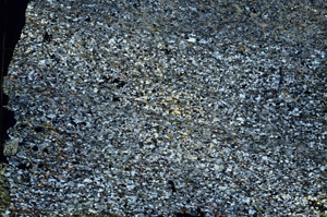Cross Polarized, S88616