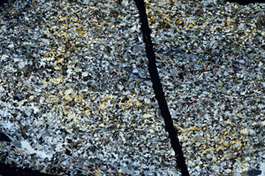Cross Polarized, S88619