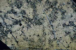 Cross Polarized, S88621