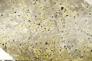 Plane Polarized, S88621