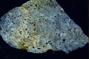 Cross Polarized, S88623