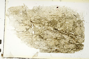 Plane Polarized, S88624