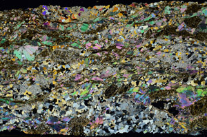 Cross Polarized, S88625