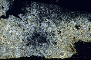 Cross Polarized, S88628