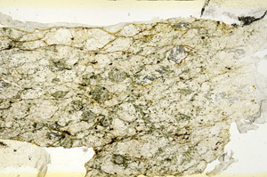 Plane Polarized, S88631
