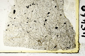 Plane Polarized, S88633