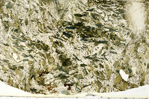 Plane Polarized, S88636