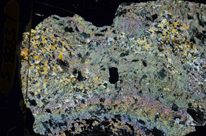 Cross Polarized, S88637