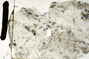 Plane Polarized, S88637
