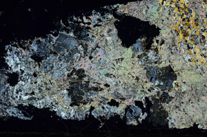 Cross Polarized, S88639