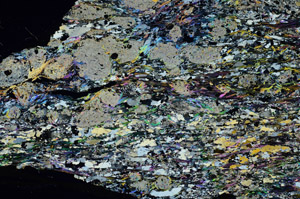Cross Polarized, S88640