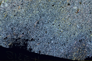 Cross Polarized, S88644