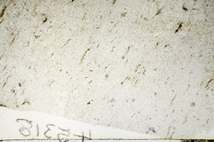 Plane Polarized, S88644
