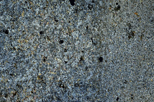 Cross Polarized, S88645