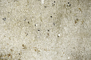 Plane Polarized, S88645