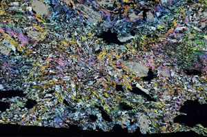 Cross Polarized, S88647