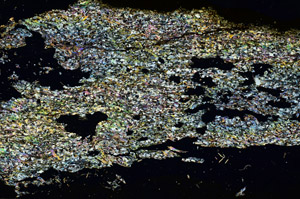 Cross Polarized, S88648