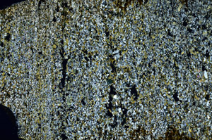 Cross Polarized, S88653