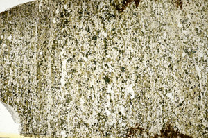 Plane Polarized, S88653