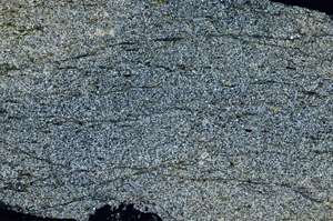 Cross Polarized, S88654