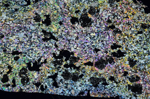 Cross Polarized, S88655