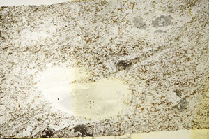 Plane Polarized, S88657