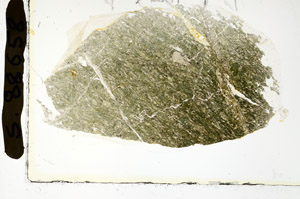 Plane Polarized, S88658