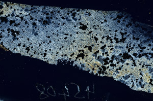 Cross Polarized, S88662