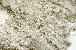 Plane Polarized, S88664