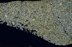 Cross Polarized, S88665