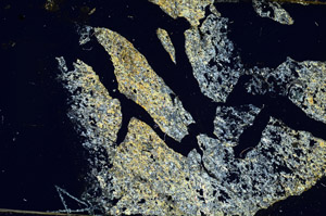 Cross Polarized, S88668