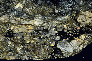 Cross Polarized, S88669