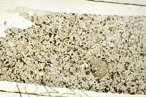 Plane Polarized, S88681