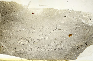 Plane Polarized, S88686