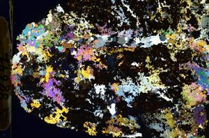 Cross Polarized, S88692