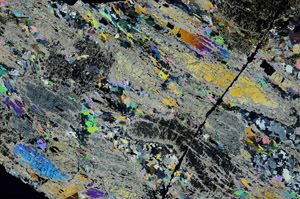 Cross Polarized, S88694