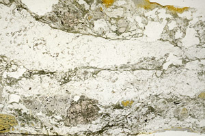 Plane Polarized, S88697