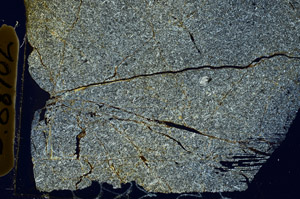 Cross Polarized, S88702