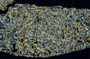 Cross Polarized, S88718