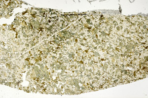 Plane Polarized, S88718
