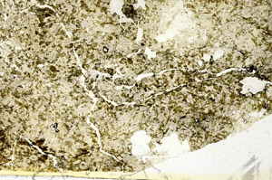 Plane Polarized, S88720