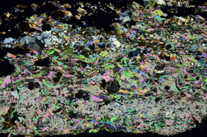 Cross Polarized, S88721