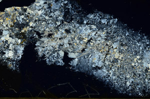 Cross Polarized, S88723