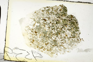 Plane Polarized, S88724