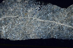 Cross Polarized, S88728