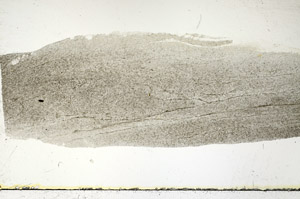 Plane Polarized, S88732