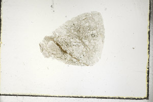 Plane Polarized, S88734