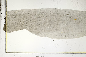 Plane Polarized, S88737