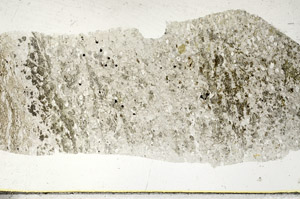 Plane Polarized, S88739