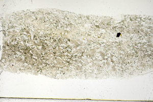 Plane Polarized, S88743